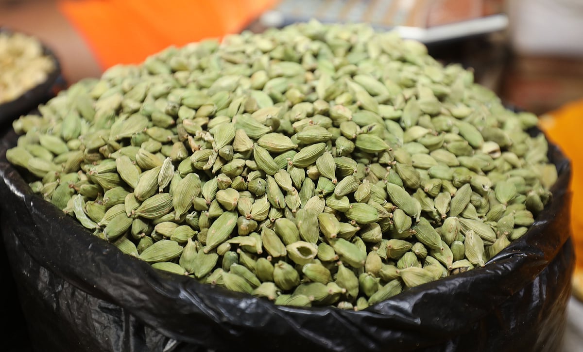 ছোট এলাচি